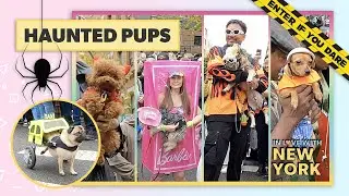 🕷️ HAUNTED PUPS! Halloween Dog Parade 2023 - Annual Tompkins Square Halloween Dog Parade NYC 2023