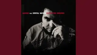Destination Unknown (feat. Crystal Waters) (J-Reverse Club Mix)