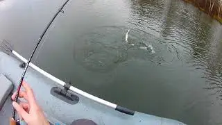 Демиды 08 11