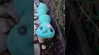 УРА !!!Летооо .😄