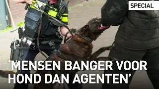 Speuren, dreigen en bijten: zo werken de politiehonden