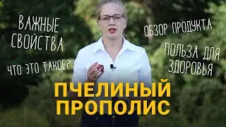 Пчелиный прополис. Что это такое? Какими свойствами обладает прополис? Какая польза для человека?