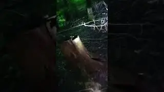 велодарожка от алтсы