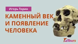 Игорь Торик: Каменный век и появление человека