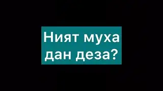 Ният муха дан деза / lадлан