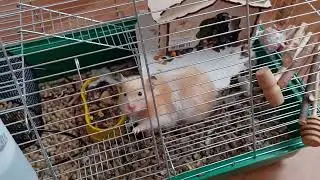 Привет! давайте знакомиться❤