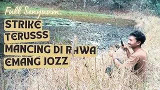 Mancing Ikan Wader di Sela sela Tumbuhan Gulma Air, Mantab Wader Rawa nya Babon-babon