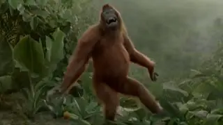 Танцующая обезьяна )))