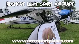 SkyReach BushCat taildragger.