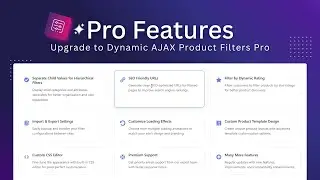 Pro Features Overview | Dynamic Ajax Product Filters Pro by Plugincy