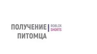 Как добавить питомца в Роблокс