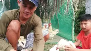 Gamot sa Fowl Pox