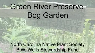 Green River Preserve Bog Garden