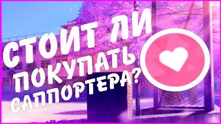СТОИТ ЛИ ПОКУПАТЬ САППОРТЕРА?