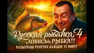 Русская рыбалка 4 🌎Ловись рыбка)))🐠Розыгрыш Silver 80(23.6кг) 🔥Снасти,премы и гн в рулетке!🔥