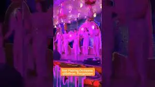 Don Podring Orchestra (Official)