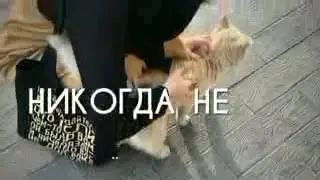 Моё сердце спокойно❤❤❤