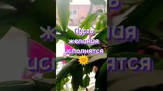 Доброй пятницы ☺!