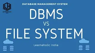 What is the difference between DBMS and File System