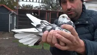 Найкращі з тих, хто залишився
