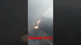 #shortvideo