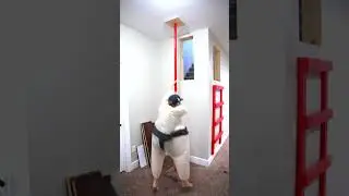 The sumo dance 