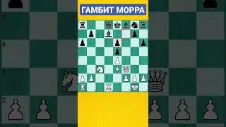 Гамбит Морра и казнь черного монарха