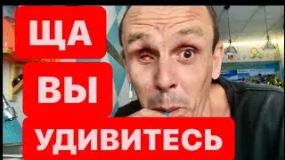 ЩА ВЫ УДИВИТЕСЬ,НОКУРЕННАЯ СКУМБРИЯ,МУЧУ СИГИ И ЦЕНЫ 🇻🇳 НЯЧАНГ 2021 И СБОР НА АЙФОН