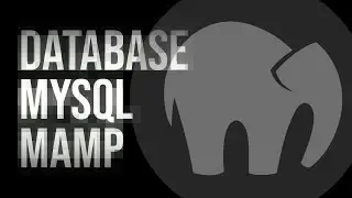 Cara Membuat Database MySQL Di MAMP Menggunakan phpMyAdmin di MacOS M1 M2 M3