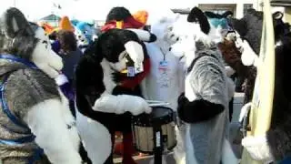 Fursuit Drum Battle
