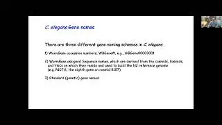 Nomenclature in WormBase & FlyBase