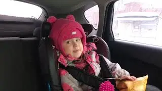 Полина приехала в приют для бездомных животных. Часть 2
