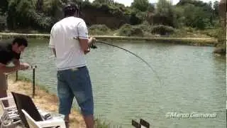 Pesca sportiva alla carpa a Roma Tor Cervara