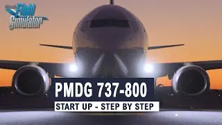MSFS | Pmdg 737 | Step by Step Tutorial | Start Up from Cold and Dark
