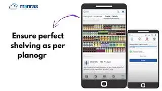 Is Retail Execution a prominent issue in your Consumer Goods Business?