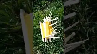 Установка Колоды  для  🏠Бортевого мёда. Солоҡ балы даданы🐝🐝🐝