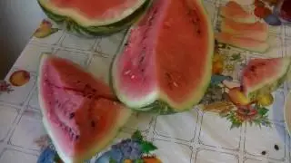 Влог.Завтрак.Готовлю.Кушаем арбуз.Приболели.Идем в аптеку.Покупка продуктов