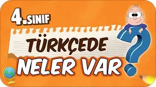 4. Sınıf Türkçede Neler Var? Türkçe Dersine Nasıl Çalışır❓