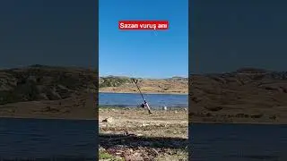 sazan vuruşu anı.#carp #carpfishing #sazan #sazanavı #sazanbalığı #sazanvuruşu#şuhut#selevir