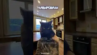 Мама когда батя пришёл в 3 ночи 