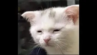 дождливый толк