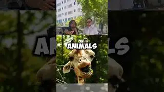 Name 3 Animals that start with the letter F… 