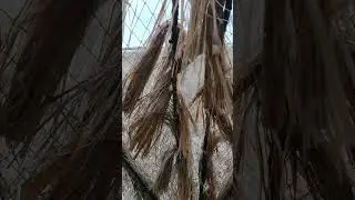 утрянка с внуком.