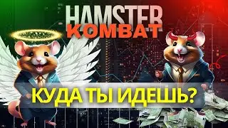 ⚠️HAMSTER KOMBAT СРОЧНО ВЫБЕРИ ПРАВИЛЬНЫЙ ПУТЬ  #hamsterkombat #crypto #хомяк