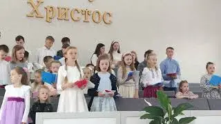 Бджілки, пташки, і квітки