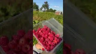 Малинка🍓￼