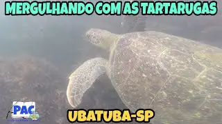 Mergulhando com as Tartarugas em Ubatuba-SP.