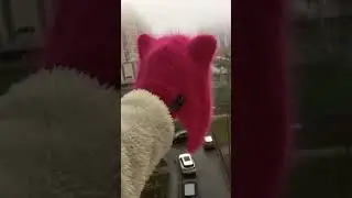 Шапка спицами для девочки 