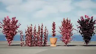 Dream Dazzler Shrub 3D animation with unreal