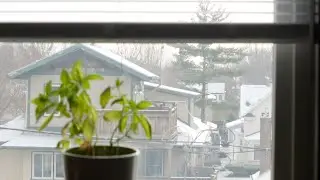 E.
